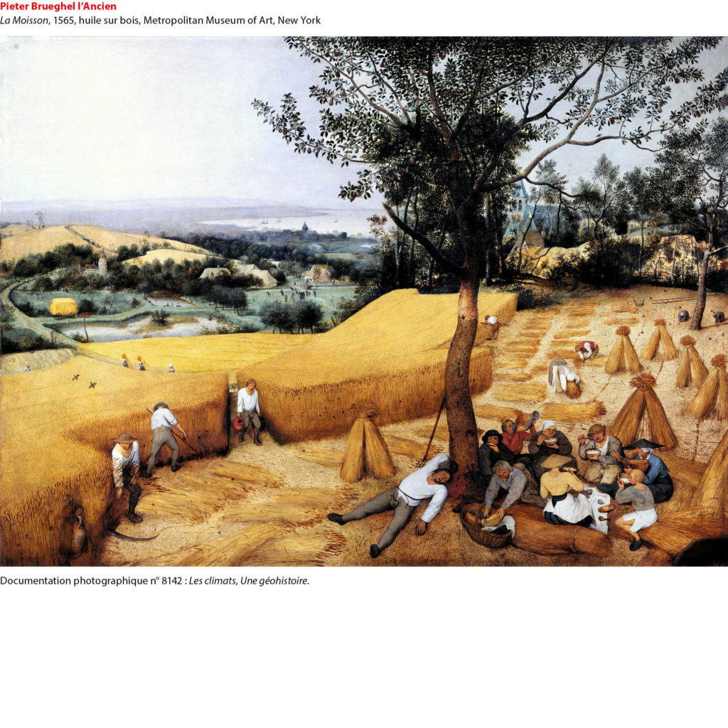 Documentation Photographique n°8142 - Pieter Brueghel